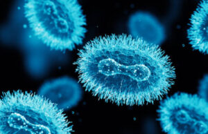 Organizaciones piden a la Secretaría de Salud actuar ante la viruela símica en Yucatán