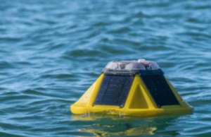 Roban boya, propiedad de la UNAM, frente a la costa de Sisal, Yucatán