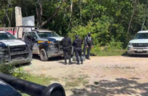 Hallan osamenta de, al menos, tres personas en presunta ‘narcofosa’ al Sur de Playa del Carmen