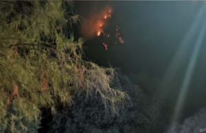 Se incendia Cerro de la Silla en Guadalupe, Nuevo León