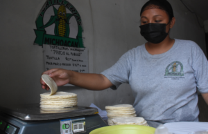 Campeche: Inicia regularización de molinos, tortillerías y mototortilleros