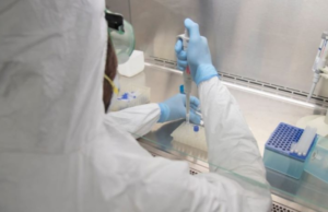 México emite aviso epidemiológico por posibles casos de cólera