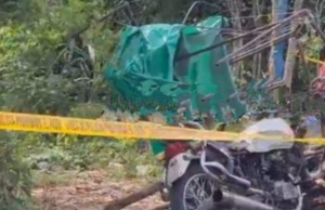 Abuelito muere tras se arrollado en la carretera Hunucmá – Sisal