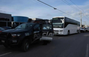 Detienen a 165 indocumentados y a cinco ‘polleros’ en Campeche