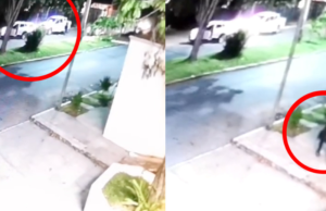 Enfrentamiento entre policías y delincuentes deja un muerto y dos heridos en Chetumal