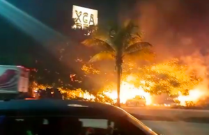 Controlan incendio cerca del corporativo de Xcaret en Cancún