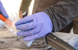 Decomisan 8 toneladas de droga en botellas de shampoo en el AICM