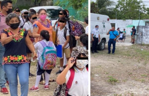 Abejas atacan a 14 niños y un adulto en escuela de Cancún